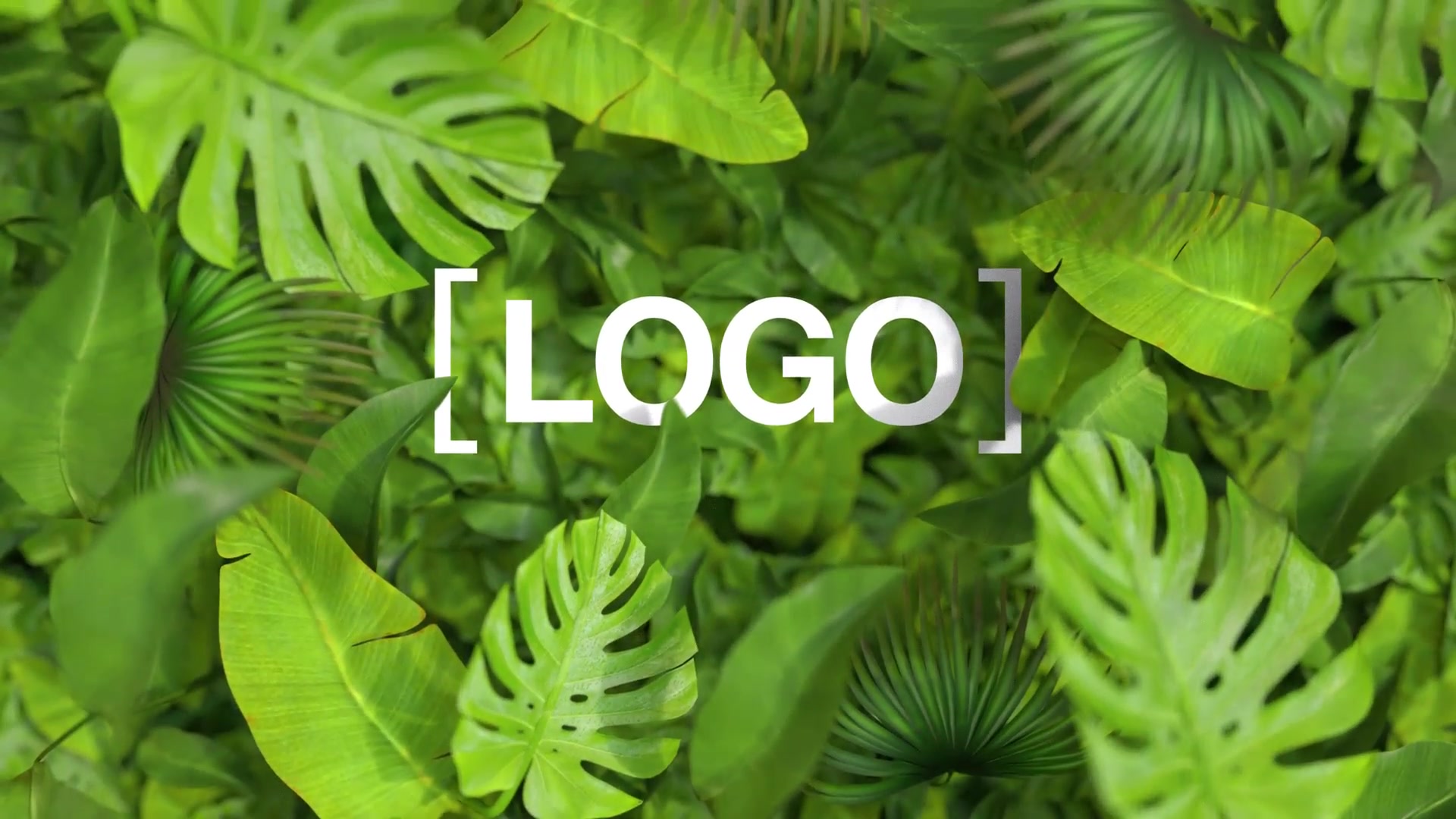 Nature Logo Videohive 35376432 After Effects Image 4