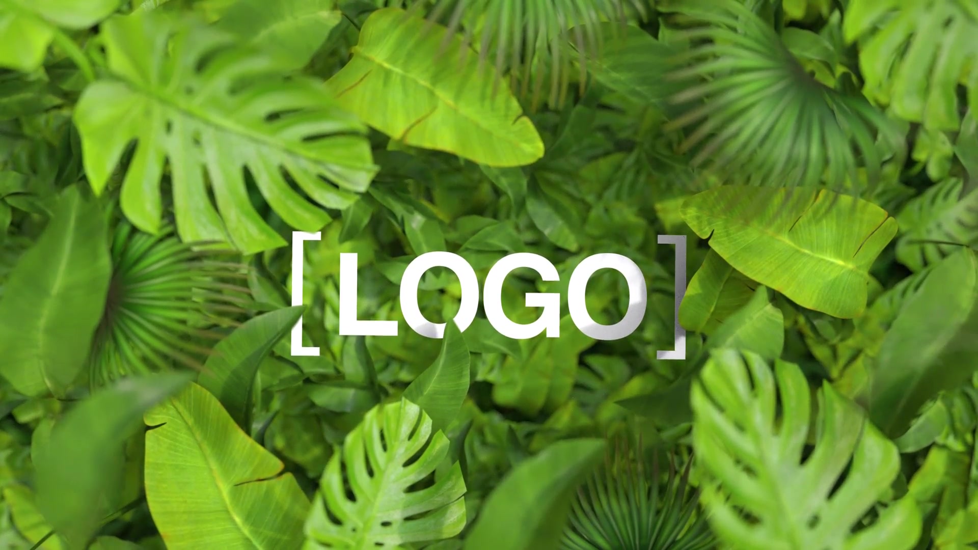 Nature Logo Videohive 35376432 After Effects Image 5