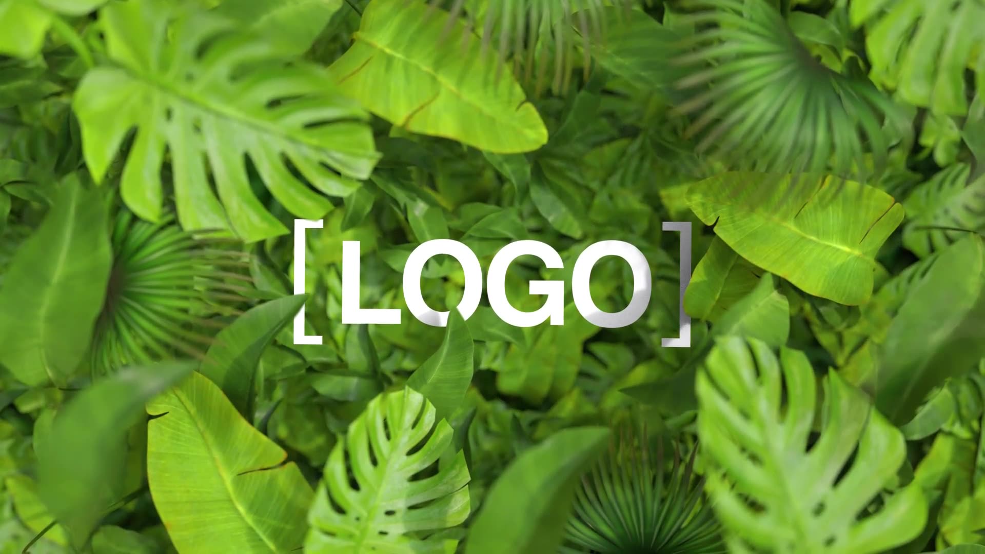 Nature Logo Videohive 35376432 After Effects Image 6