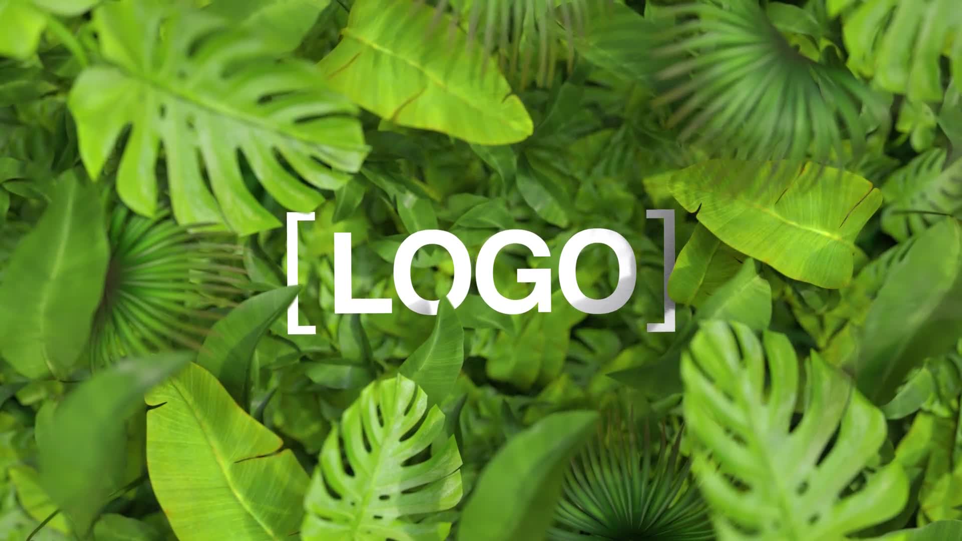 Nature Logo Videohive 35376432 After Effects Image 7