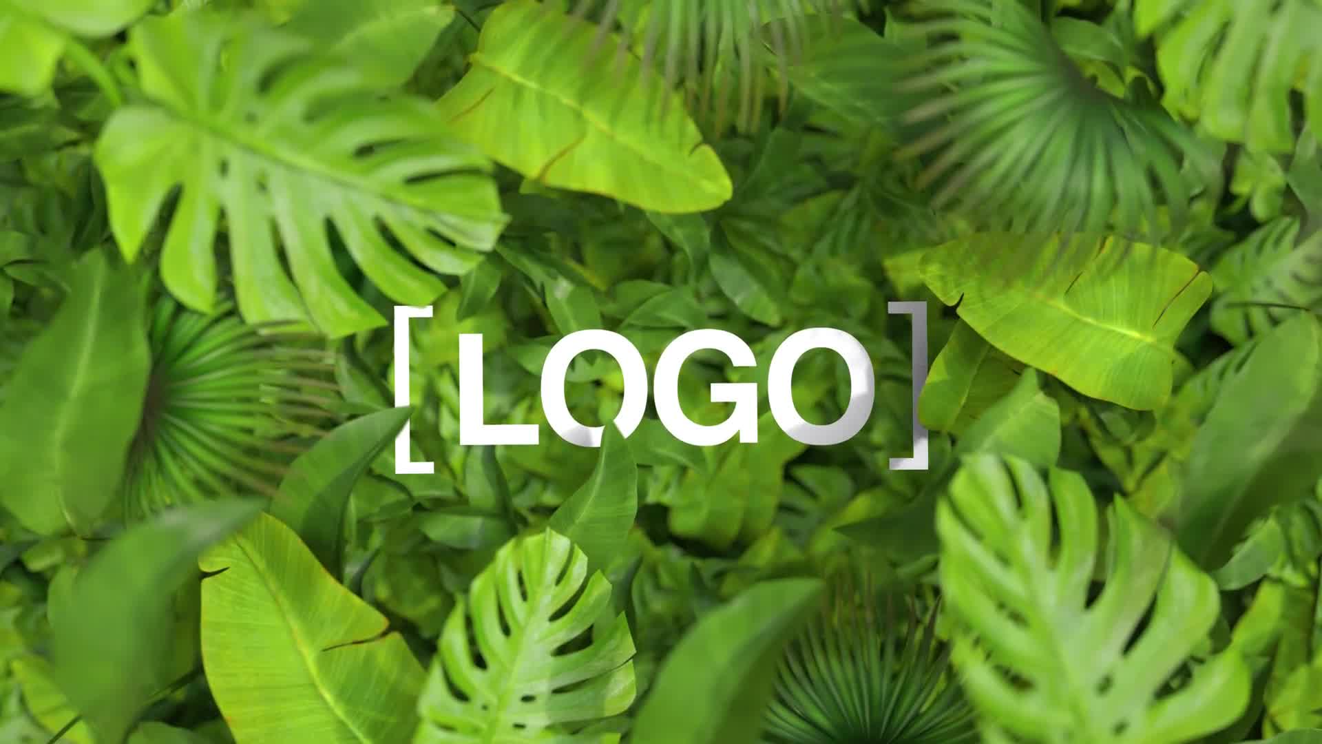 Nature Logo Videohive 35376432 After Effects Image 8