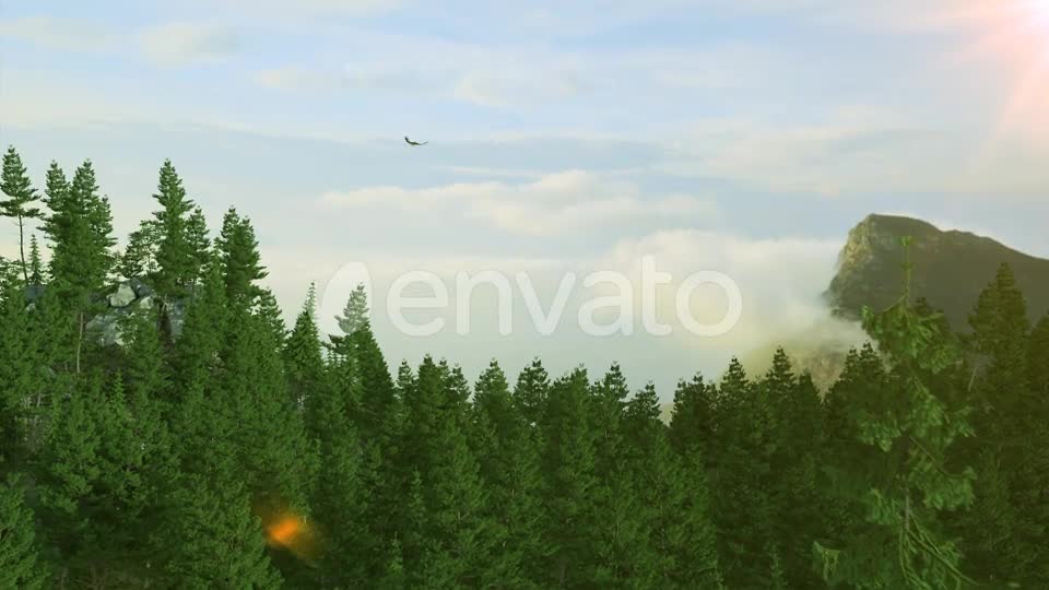 Nature Logo Videohive 29770889 After Effects Image 1