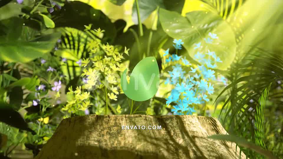 Nature Logo Videohive 29770889 After Effects Image 10