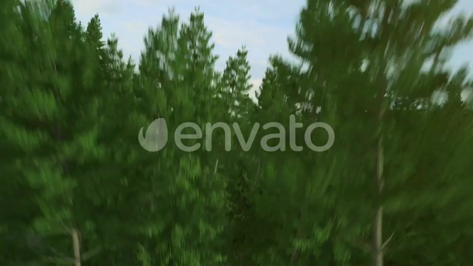 Nature Logo Videohive 29770889 After Effects Image 3