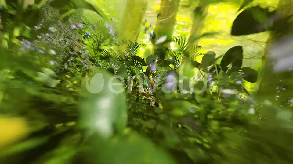 Nature Logo Videohive 29770889 After Effects Image 5