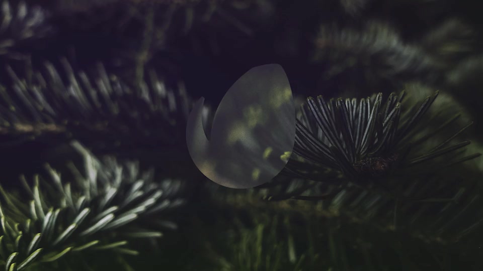 Nature Logo Intro Videohive 36275536 After Effects Image 2