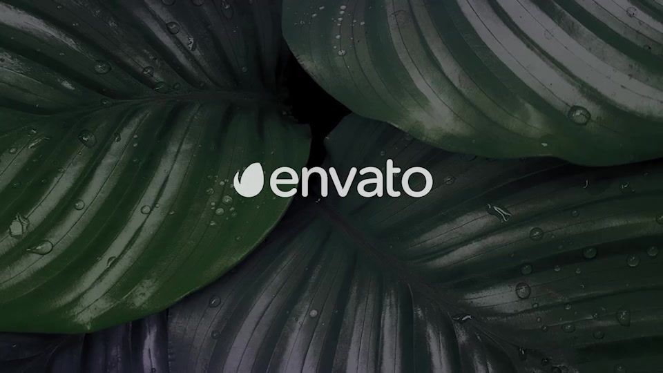Nature Logo Intro Videohive 36275536 After Effects Image 4
