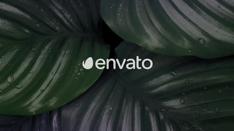 Nature Logo Intro Videohive 36275536 After Effects Image 8