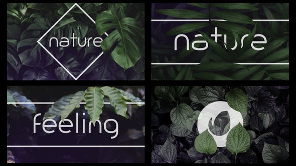 Nature Logo Intro - Videohive Download 36275536