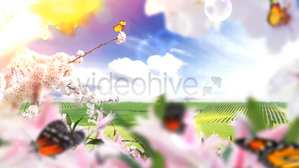 Nature Logo Reveal (Butterflies) Videohive 3882981 After Effects Image 3