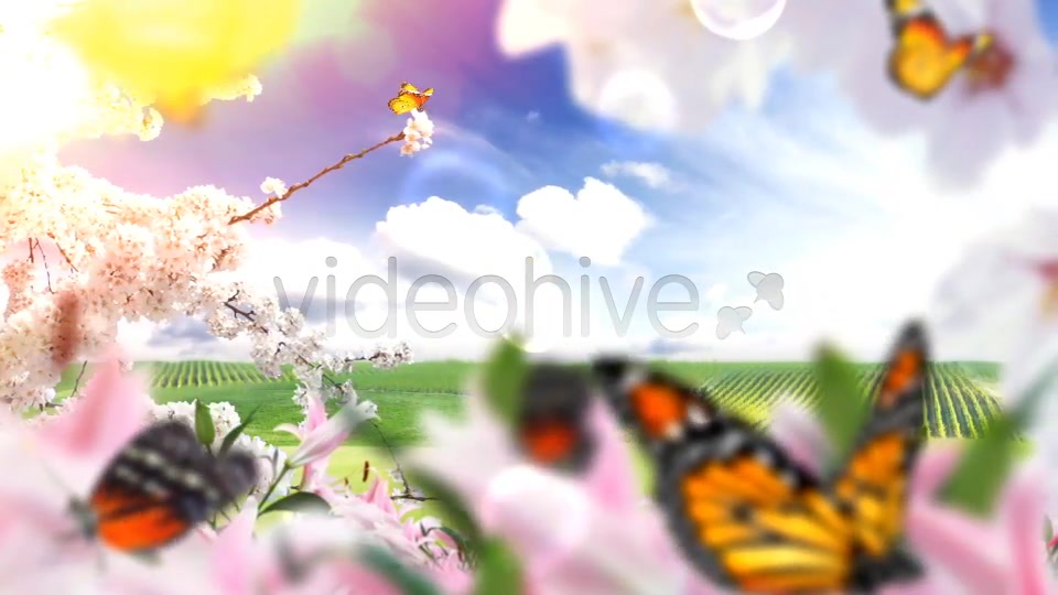 Nature Logo Reveal (Butterflies) Videohive 3882981 After Effects Image 4