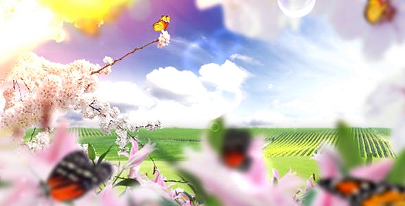 Nature Logo Reveal (Butterflies) - Download 3882981 Videohive