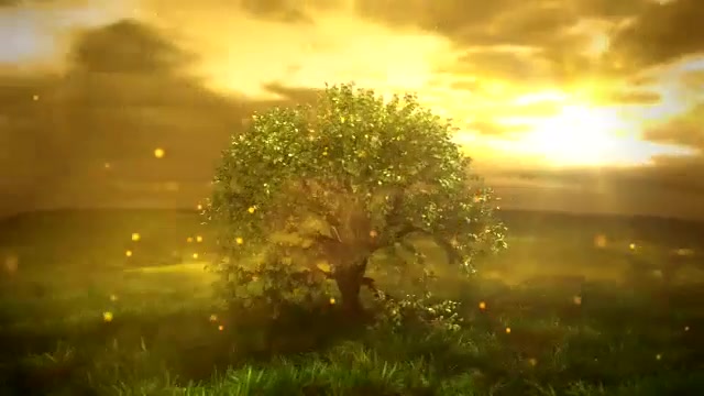 Nature Logo Reveal Videohive 12709139 After Effects Image 2