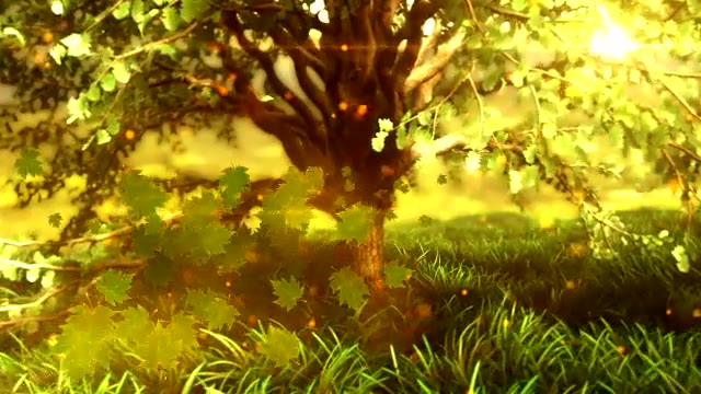 Nature Logo Reveal Videohive 12709139 After Effects Image 8