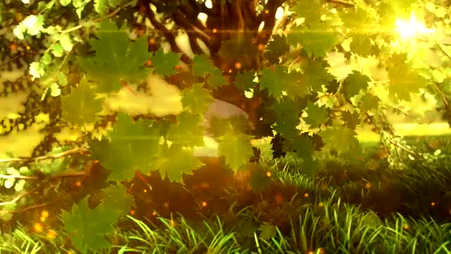 Nature Logo Reveal Videohive 12709139 After Effects Image 9
