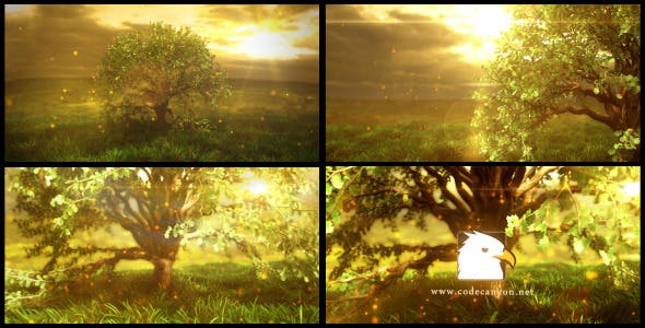 Nature Logo Reveal - Download 12709139 Videohive