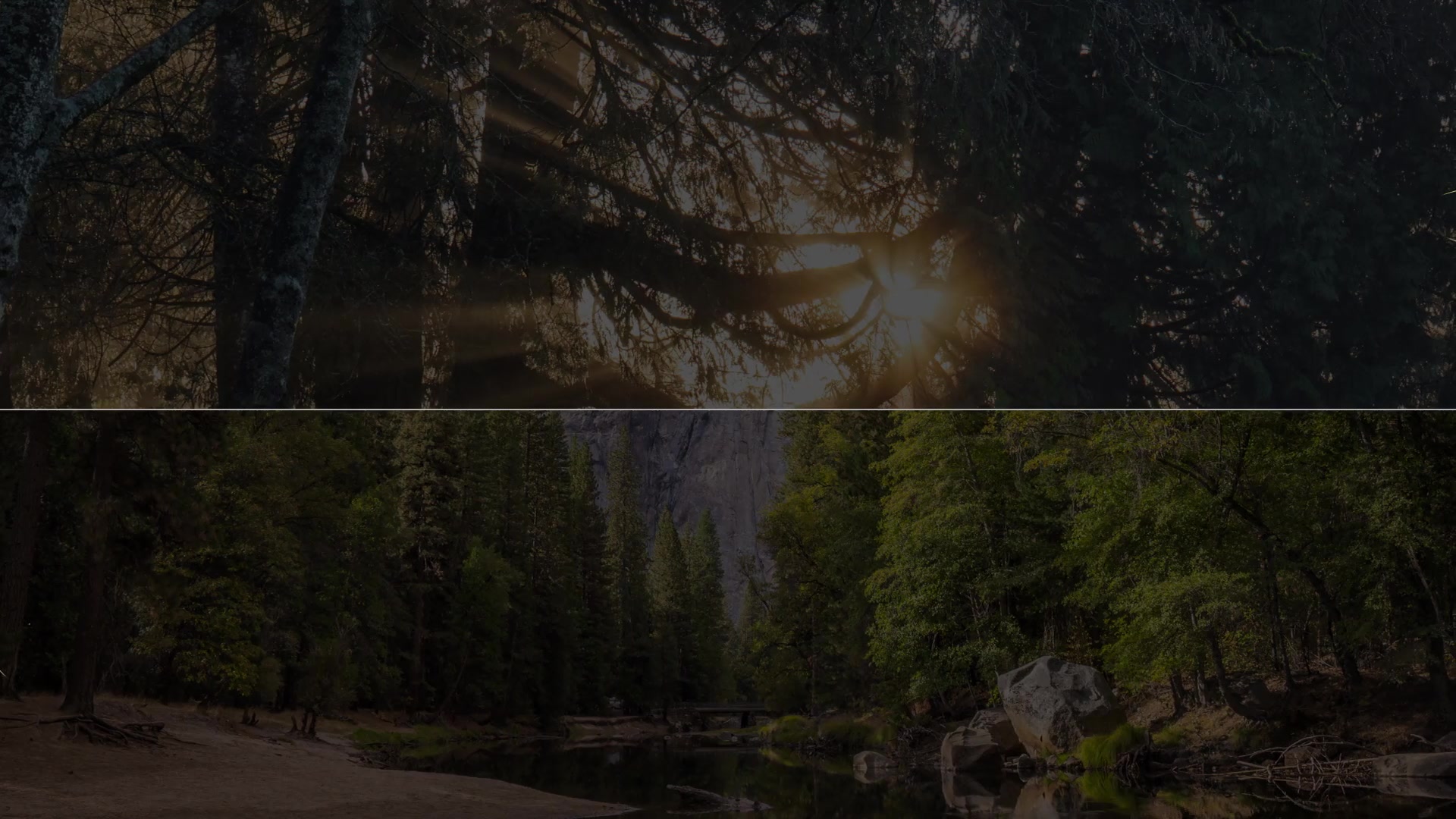 Nature Logo Reveal - Download Videohive 17072295