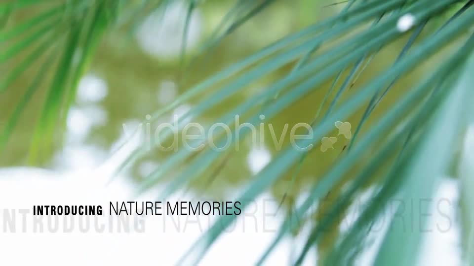 Nature Memories - Download Videohive 4424469
