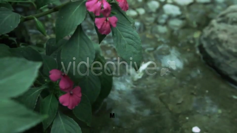 Nature Memories - Download Videohive 4424469