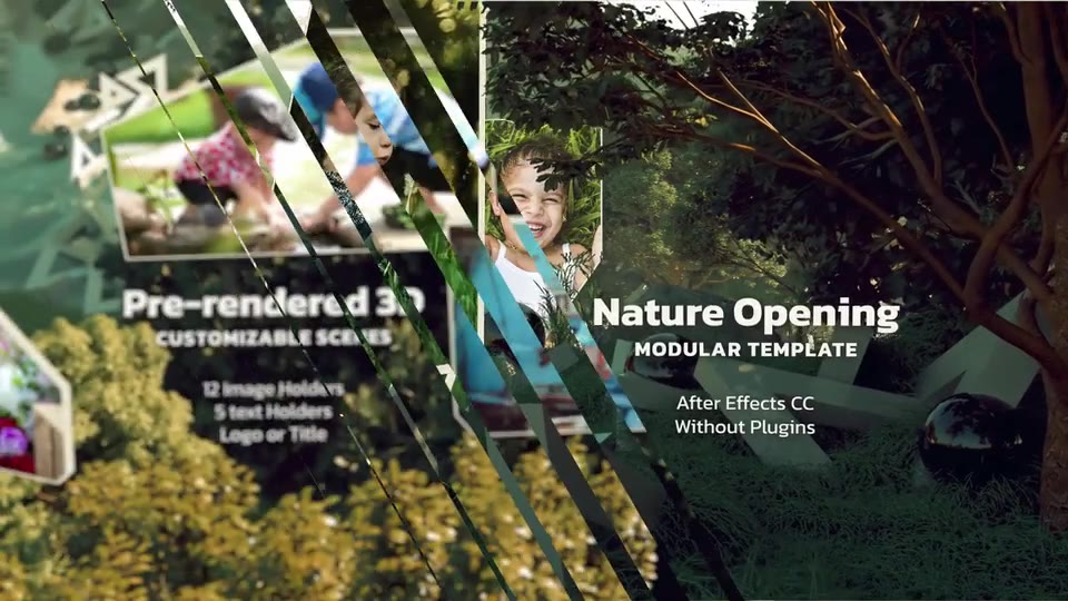 Nature Photo Opener Videohive 38827217 After Effects Image 3