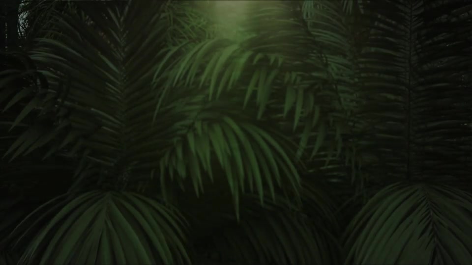 Nature/Jungle Logo Reveal Videohive 26312901 After Effects Image 4