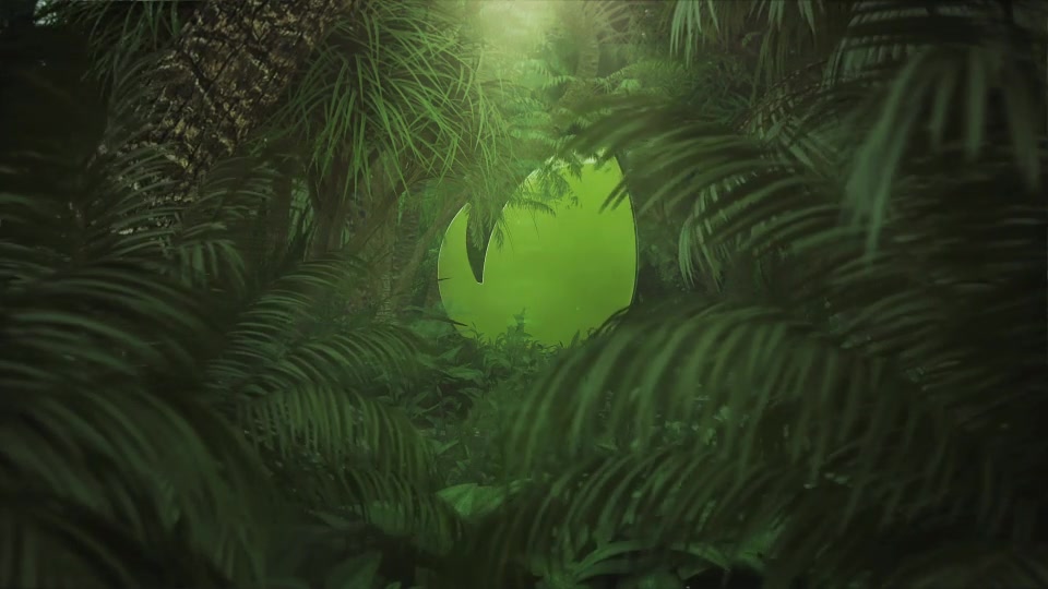 Nature/Jungle Logo Reveal Videohive 26312901 After Effects Image 5