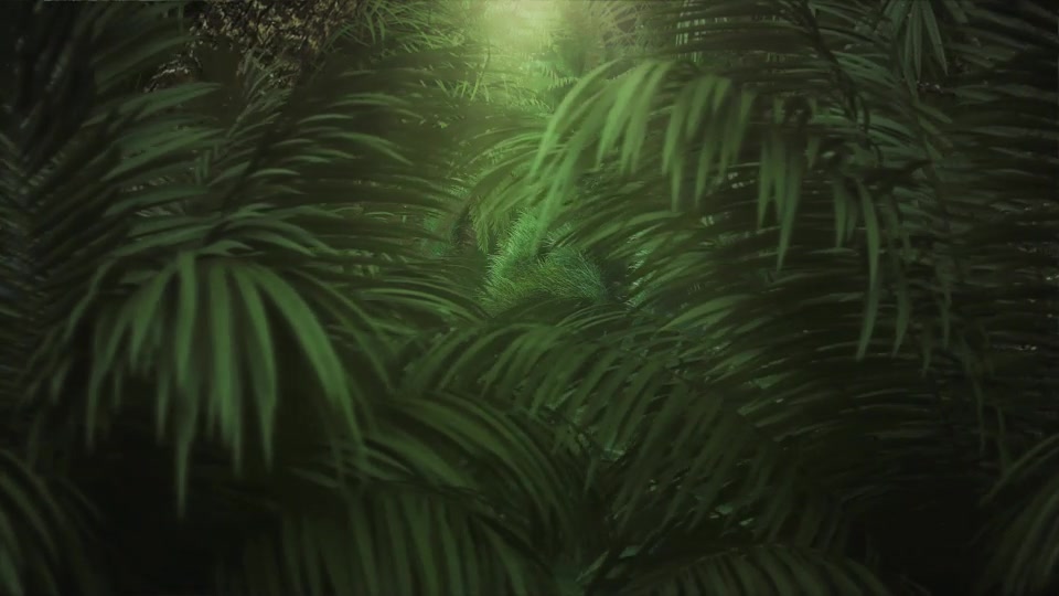 Nature/Jungle Logo Reveal Videohive 26312901 After Effects Image 8