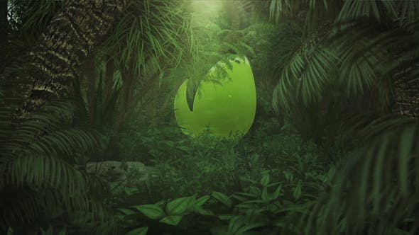 Nature/Jungle Logo Reveal - Download 26312901 Videohive
