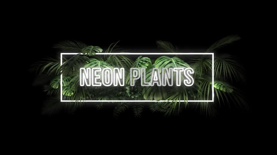 Neon Plants Videohive 23702759 After Effects Image 1