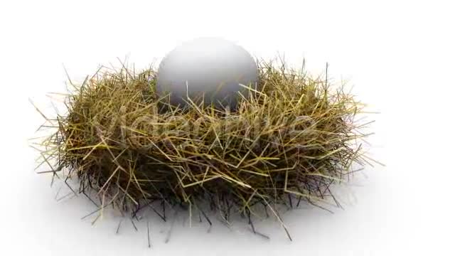 Nest Egg Concept With Alpha Channel - Download Videohive 3054134