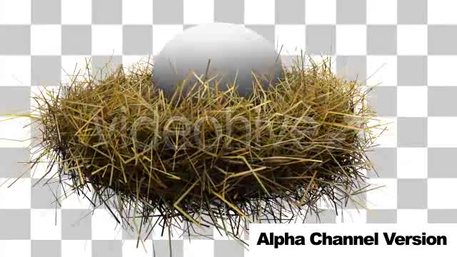 Nest Egg Concept With Alpha Channel - Download Videohive 3054134