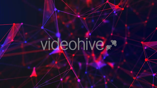 Network - Download Videohive 20711187