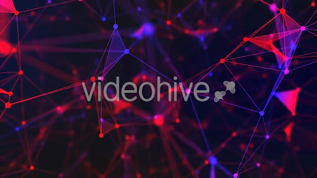 Network - Download Videohive 20711187