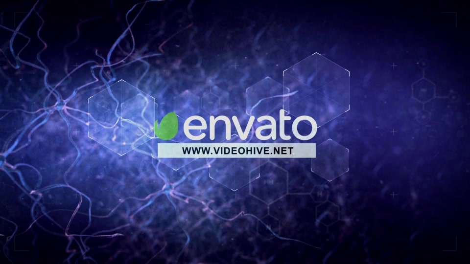 Neuronal Cells Videohive 16758085 After Effects Image 11