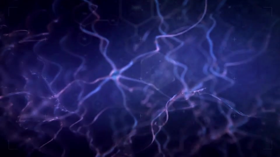 Neuronal Cells Videohive 16758085 After Effects Image 3