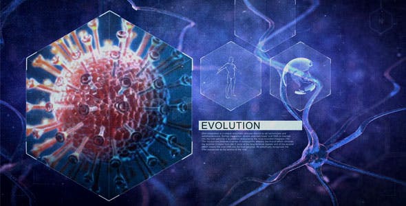 Neuronal Cells - 16758085 Download Videohive