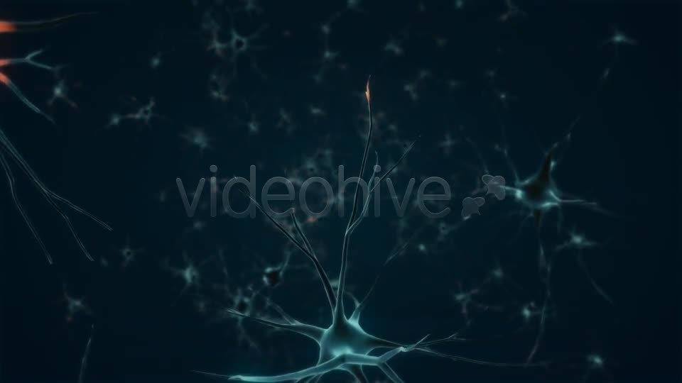 Neurons Videohive 20091517 Motion Graphics Image 1