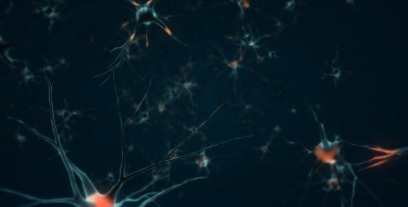 Neurons - 20091517 Download Videohive