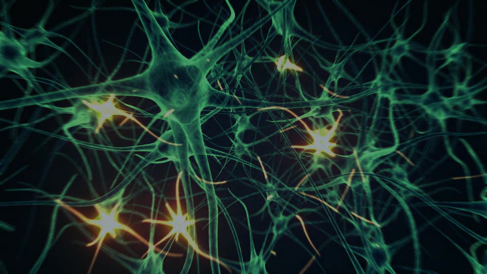 Neurons Logo (2 pack) Videohive 11808844 After Effects Image 11