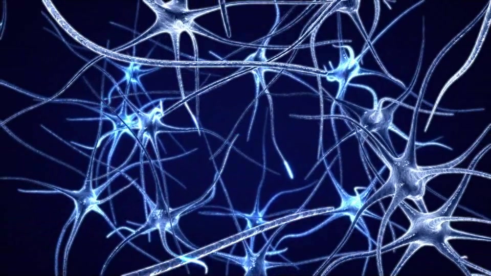 Neurons Logo (2 pack) Videohive 11808844 After Effects Image 6