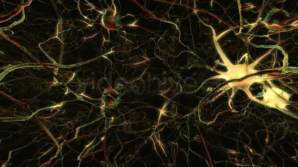 Neurons Loop - Download Videohive 20271644
