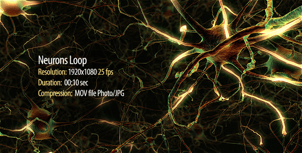 Neurons Loop - Download Videohive 20271644
