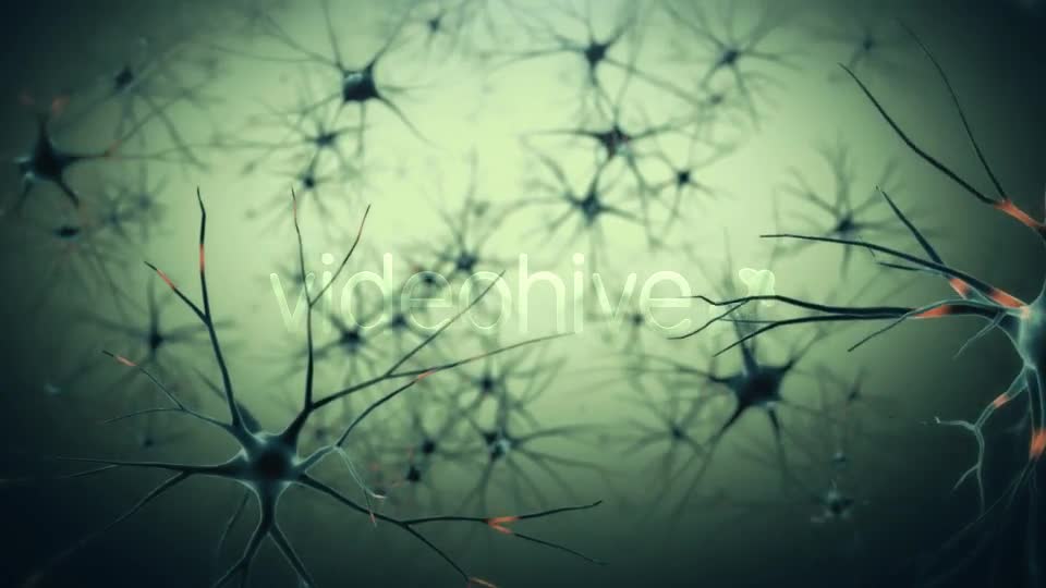 Neurons Videohive 19208036 Motion Graphics Image 1