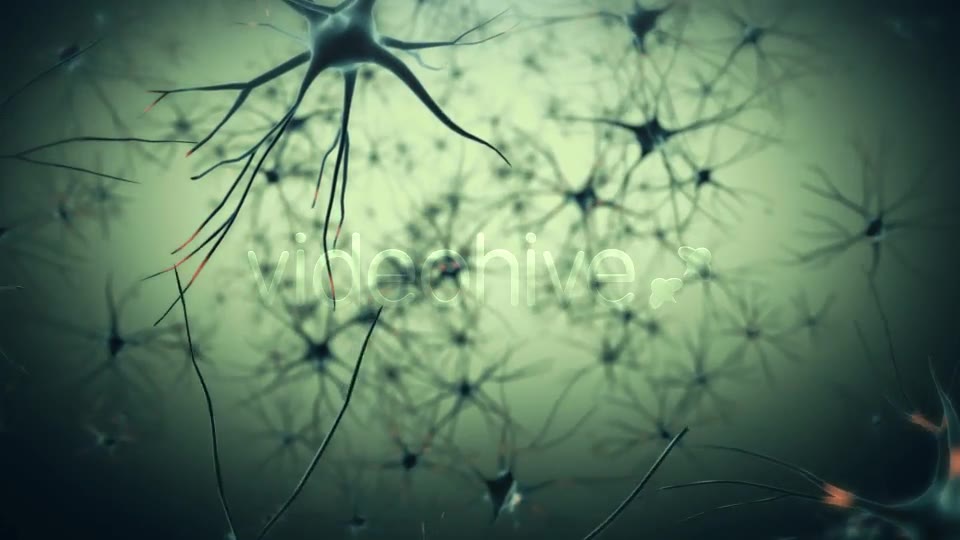 Neurons Videohive 19208036 Motion Graphics Image 2