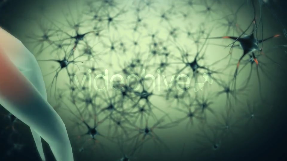 Neurons Videohive 19208036 Motion Graphics Image 3