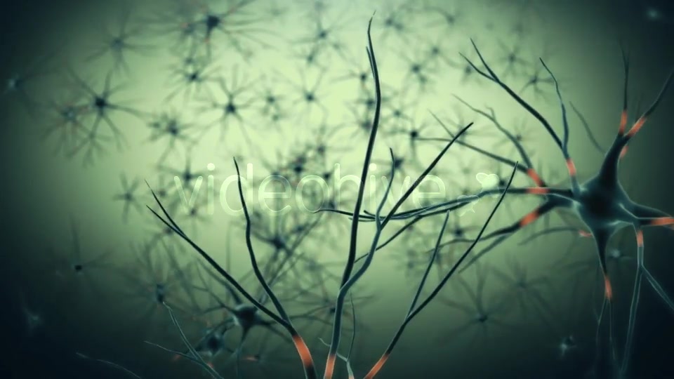 Neurons Videohive 19208036 Motion Graphics Image 5