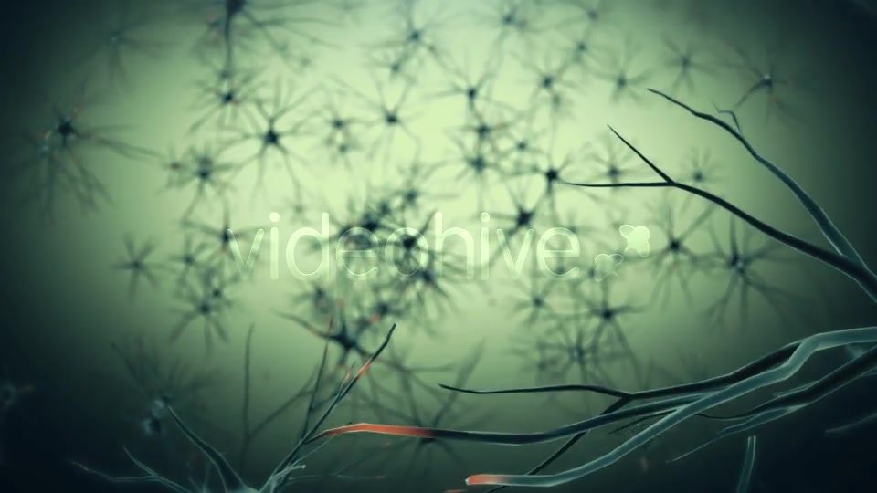 Neurons Videohive 19208036 Motion Graphics Image 6