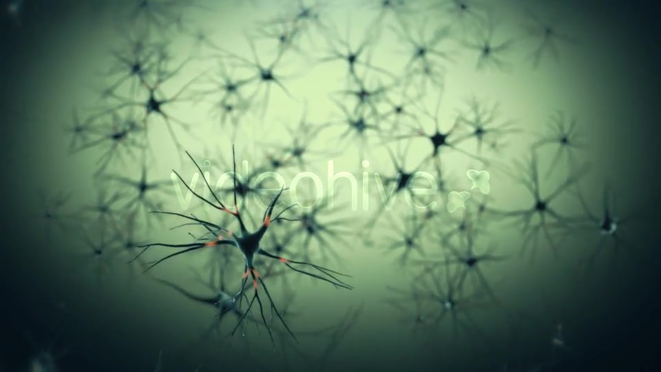Neurons Videohive 19208036 Motion Graphics Image 7