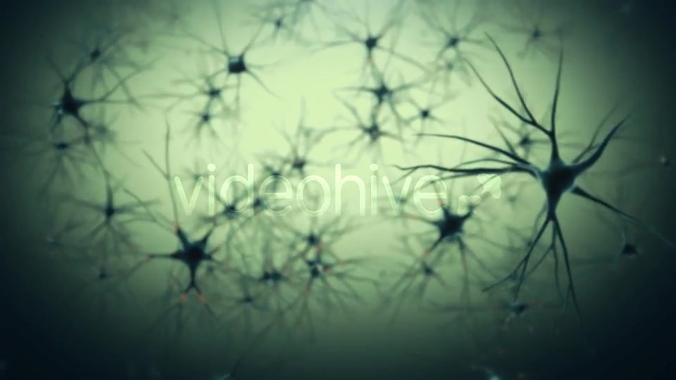 Neurons Videohive 19208036 Motion Graphics Image 8