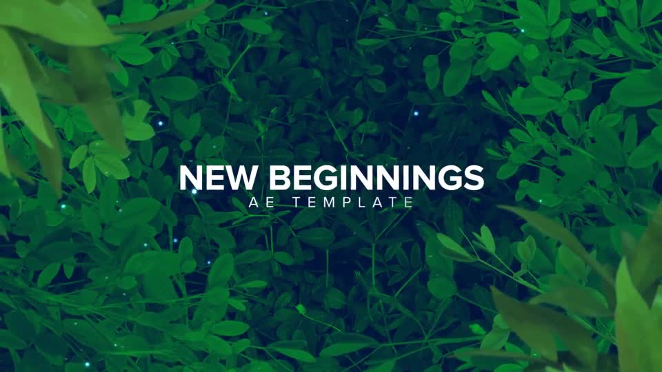 New Beginnings - Download Videohive 22625024
